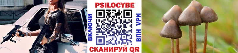 Псилоцибиновые грибы MAGIC MUSHROOMS  где купить наркоту  маркетплейс официальный сайт  Заозёрный 